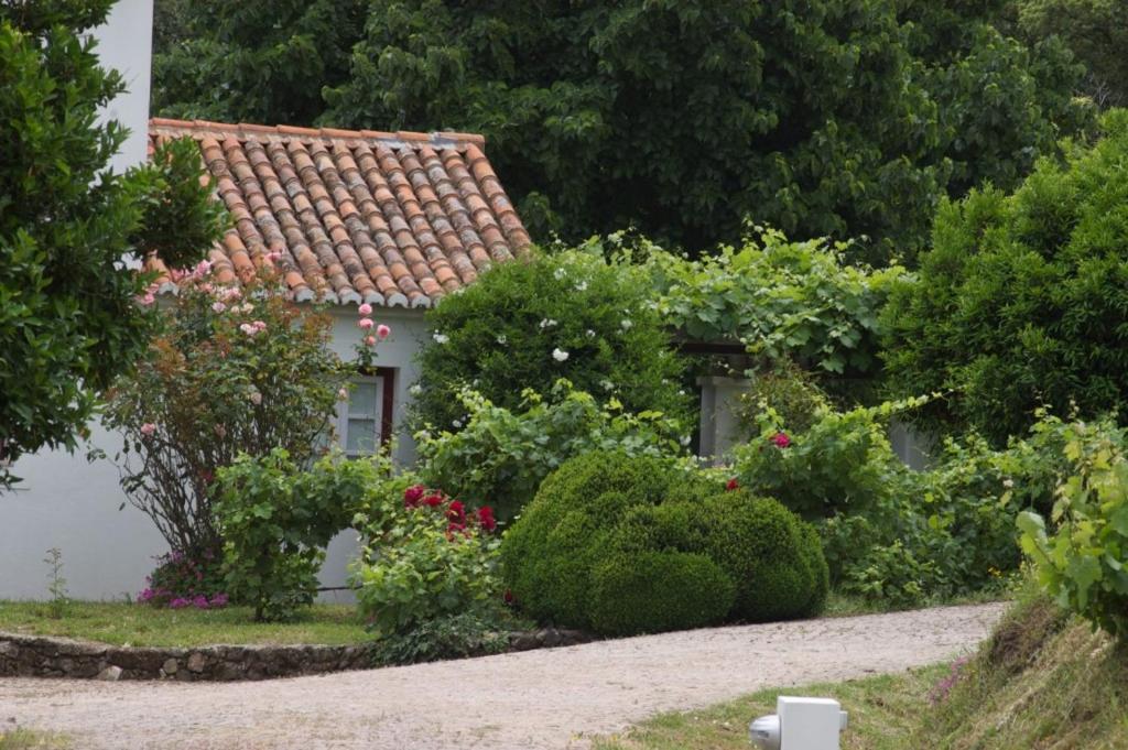 Quinta Da Saimeira Marvão Eksteriør bilde