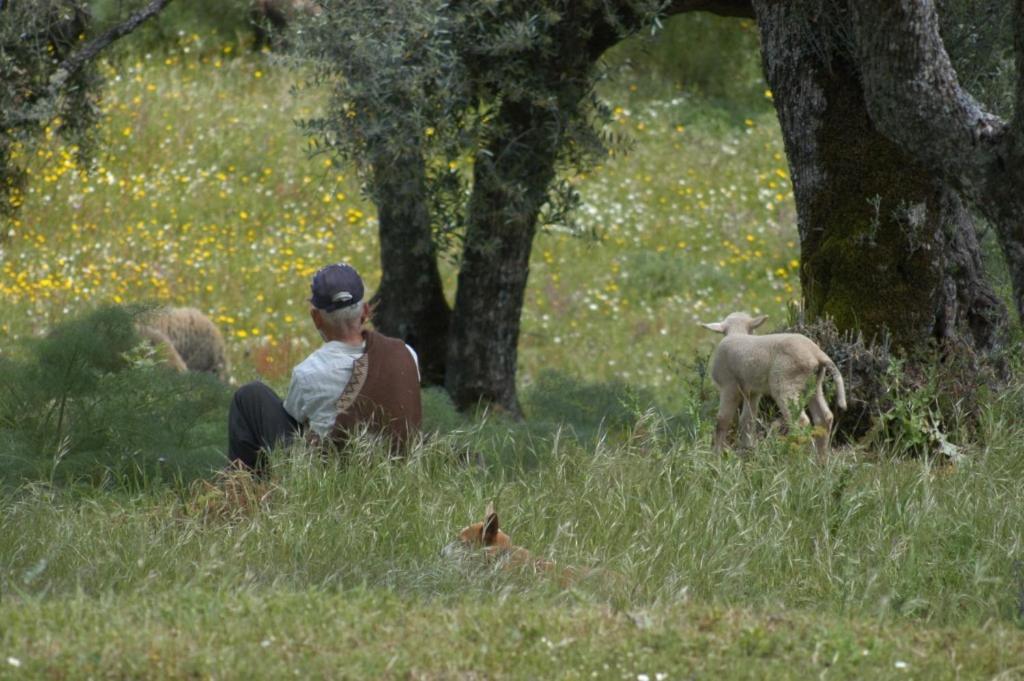 Quinta Da Saimeira Marvão Eksteriør bilde